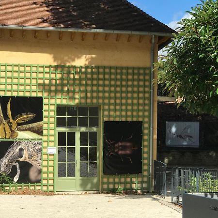 Charmante Maison Bourguignonne Avec Grand Jardin Et Parking Montbard Εξωτερικό φωτογραφία