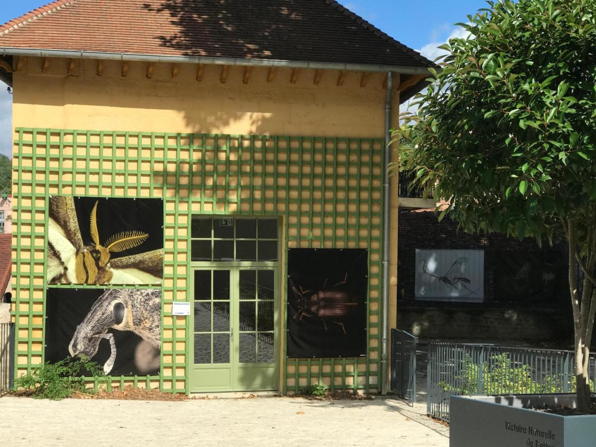 Charmante Maison Bourguignonne Avec Grand Jardin Et Parking Montbard Εξωτερικό φωτογραφία